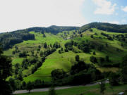 Blick von den Todtnauer Wasserf�llen nach Westen auf Hasbach am 2.7.2009