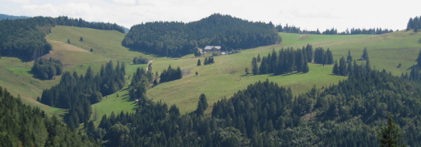 Tele-Blick vom Hasenhornturm am 27.8.2009 nach Osten zum Gisiboden 