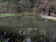 Am Rehweiher zwischen WaldHaus und Spemannplatz am 5.4.2009