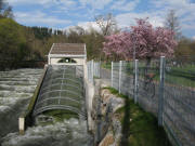Blick nach Osten am Sandfang am 8.4.2009 