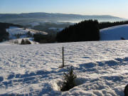 Blick nach S�dwesten von der 1000-m-Bank �bers Dreisamtal zum Schauinsland am 11.1.2009
