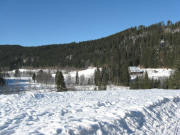 Blick vom Behab�hl nach Nordwesten zum Michelhof am 10.1.2009