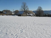Blick nach Osten zum Doldenhof am 11.1.2009