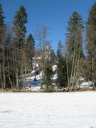 Blick nach Norden vom zugefrorenen Titisee zu Ville neben dem Alemannenhof am 10.1.2009