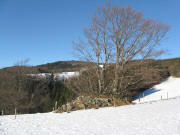 Blick nach Norden zum Gummenhof am 11.1.2009