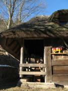 Blick nach Norden zur Heitzmannhof-M�hle am 12.1.2009 - die Kuh wartet noch immer auf einen fairen Milchpreis!