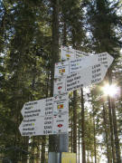 Blick nach S�dosten zum Weigweiser "Balzenwaldh�tte (1141 m)": 0,6 km Hierabrunnnen, 1,6 km Hochfirst, 3 km Saig  am 25.1.2009