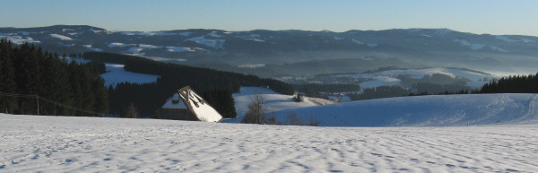 Blick übers Jockenhäusle am Kandelberg nach Südosten über St. Peter zum Feldberg am 11.1.2009