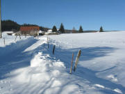 Blick nach Norden zum Schulz-Hof in Staufen am 9.1.2009