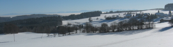 Blick nach Süden über Staufen zu den Alpen am 9.1.2009