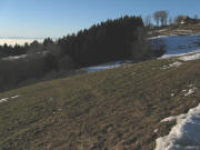 Blick nach Norden zum Weberh�usle am 11.1.2009
