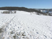 Blick �ber den Vorderen Willmen nach Osten bis St. M�rgen am 12.1.2009