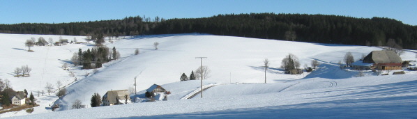 Blick von "Auf der Eck" beim Heitzmannsberg nach Nordosten zum Willmen am 12.1.2009