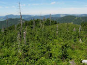 Blick vom Bl��ling am 29.7.2009 nach Nordwesten zum Belchen und Schauinsland