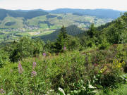 Blick vom Bl��ling am 29.7.2009 nach S�dosten ins Bernauer Tal