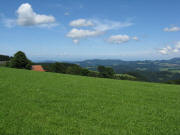 Blick vom oberen Fahrenberg nach Nordwesten am 26.7.2009 zum Ro�kopf