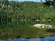 Blick nach Westen von der Ostseite des Feldsees am 29.7.2009