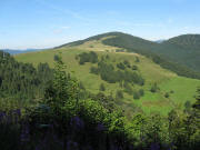 Blick vom Wildboden unterhalb Hochkopf nach Süden zum Hochgescheid (1205 m) oberhalb Herrensc