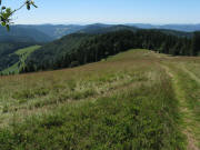 Blick nach S�den von Herzogenhorn-Schanze �ber Hofeck (links) und Bl��ling (ganz links) bis Herrenschwand am 29.7.2009