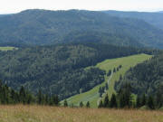 Tele-Blick nach S�den von Herzogenhorn-Schanze �ber Hofeck (Lichtung rechts) und Weide Ecklewald (links) zum Bl��ling am 29.7.2009