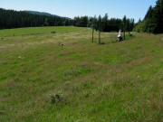 Blick nach S�dwesten �ber den Skilift Hofeck  zum Bl��ling am 29.7.2009