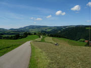 Blick nach Nordwesten �ber den Steigweg bis St.Peter - rechts das Rufenh�usle am 26.7.2009