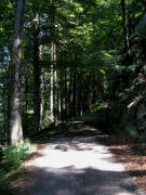 Blick nach Osten �bers Steestr��le am 29.7.2009