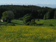 Tele-Blick von Buggenried nach S�den zur Alpenkette am 17.5.2009