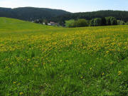 Blick nach S�den auf Bulgenbach am 17.5.2009