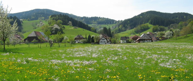 Blick vom Rössle nach Süden ins Dietenbach am 1.Mai 2009