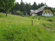 Blick nach Nordosten zum Oberen Dreieck am 7.6.2009