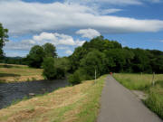 Blick nach Osten am 2.9.2006 zum Zuflu� der Brugga (von rechts) in die Dreisam: Weg biegt rechts ab, k�nnte aber geradeaus weitergef�hrt werden