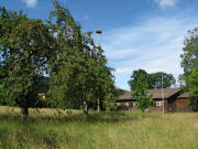 Blick nach S�dwesten am 7.6.2009 im Ebneter Schlosspark