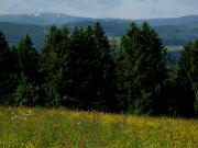 Tele-Blick vom Laberholz bei St.M�rgen nach S�den zum schneebedeckten Feldberg am 7.6.2009