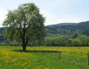 Blick nach S�dwesten �ber den K�chlehof ins Geroldstal am 1.5.2009