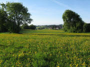Blick vom Schl�chtsee nach S�den auf Grafenhausen am 17.5.2009