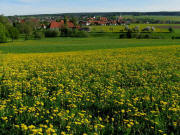 Blick von Rippoldsried nach Nordwesten auf Grafenhausen am 17.5.2009