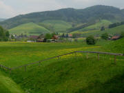 Tele-Blick nach Norden vom Gummenwald ins Ibental zu Z�hringerhof (Mitte hinten) und Petershof (rechts) am 1.5.2009