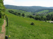 Blick nach Osten vom Wei�enbachsattel �ber den Panoramaweg zur "Stricker H�he" bzw. der Schanz und auf Todtmoos-Weg am 23.5.2009