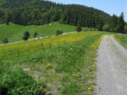 Blick nach Westen zum Wei�enbachsattel  am 23.5.2009