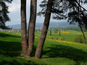 Blick von der Anh�he beim Joxenhof in H�fen nach Westen auf Kirchzarten am 1.5.2009