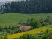 Blick von der Anh�he beim Joxenhof in H�fen nach S�dosten zum Kohlbachhof am 1.5.2009