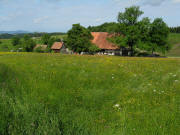 Blick nach Nordwesten zum Mie�erhof am 7.6.2009