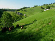 Blick nach Norden zum Sattelgrundhof und SCh�neck (rechts) am 18.5.2009