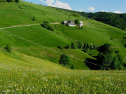 Blick am Sittener Berg nach S�den zum Sch�neckhof am 18.5.2009 - Meer von gelbem Hahnenfu� und L�wenzahn