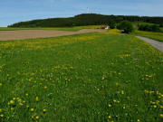 Blick nach Norden �ber den Alten Staufer Weg von Brenden kommend am 17.5.2009