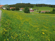 Blick nach Westen auf Staufen am 17.5.2009