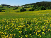 Blick �ber den Karl-Carstens-Weg bei Sch�nenbach nach S�den auf Staufen am 17.5.2009