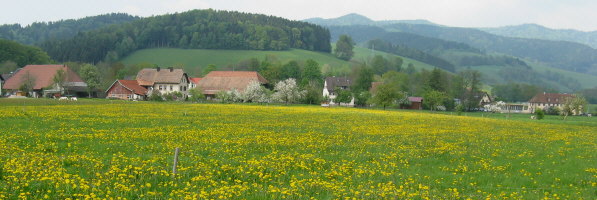 Blick nach Osten am 1.5.2009 zum Andrishof, Josephenhof und alte Stegener Grundschule (von links)
