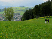 Blick von "Auf der Eck" nach S�den �ber St.Peter zum Lindenberg am 7.5.2009 - gelber L�wenzahn �berall